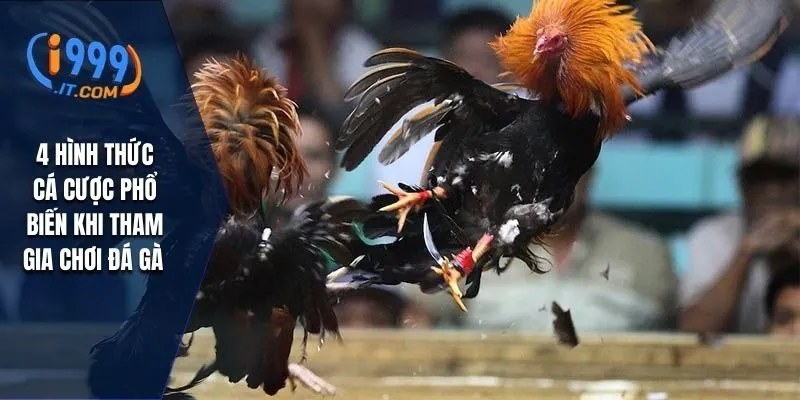 4 hình thức cá cược phổ biến khi tham gia chơi đá gà 