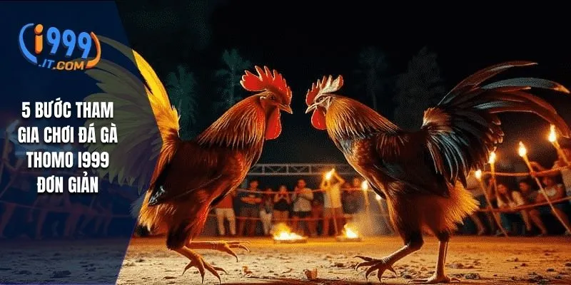 Đá Gà Thomo i999 Đặc Sắc Của Môn Thể Thao Truyền Thống 2 5 bước tham gia chơi đá gà thomo I999 đơn giản