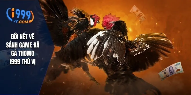 Đá Gà Thomo i999 Đặc Sắc Của Môn Thể Thao Truyền Thống 1 Đôi nét về sảnh game đá gà thomo I999 thú vị