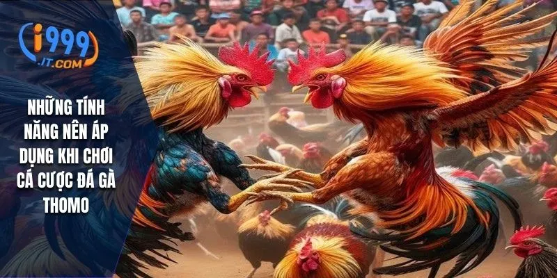 Đá Gà Thomo i999 Đặc Sắc Của Môn Thể Thao Truyền Thống 3 Những tính năng nên áp dụng khi chơi cá cược đá gà Thomo