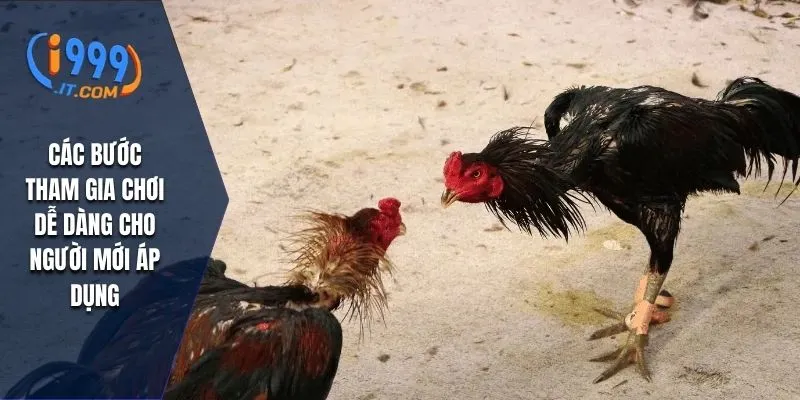Các bước tham gia chơi dễ dàng cho người mới áp dụng
