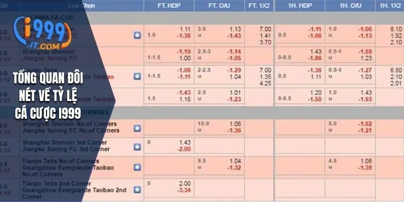 Tổng quan đôi nét về tỷ lệ cá cược i999